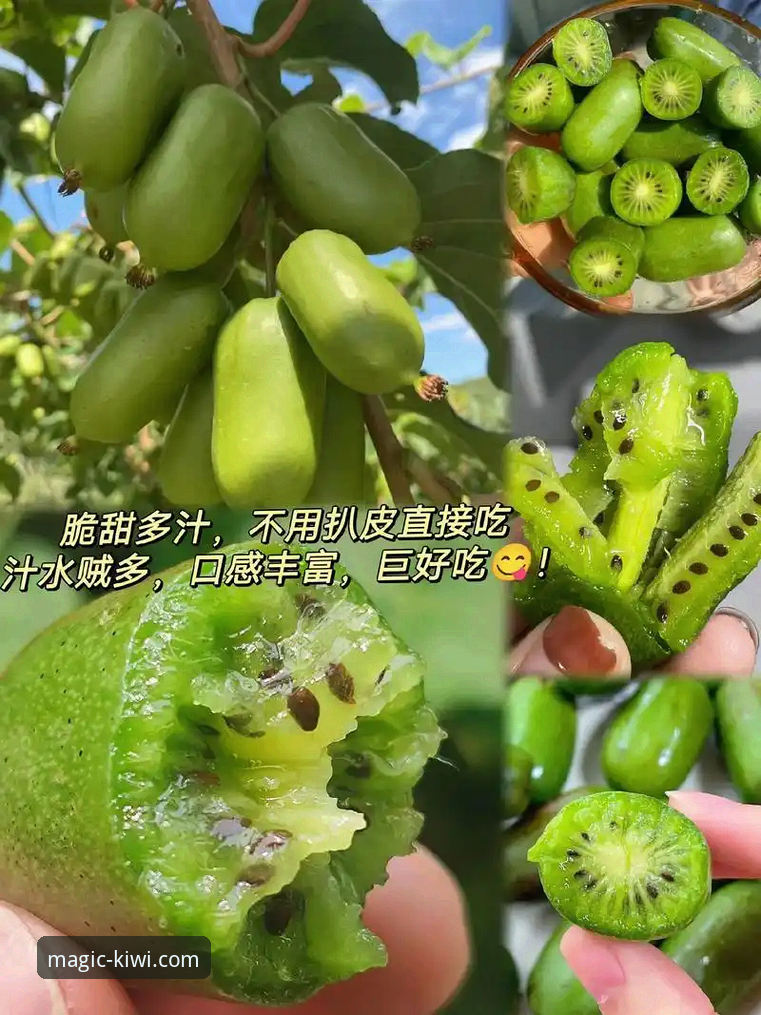 奇异果体育怎么样必备 奇异果体育平台使用必备知识:从下载到观赛的全流程实用指南